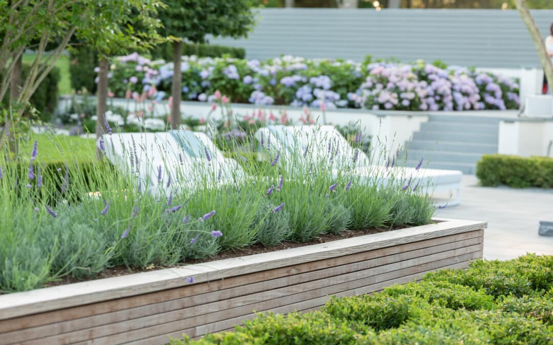 What Keeps a Landscape Looking Effortless